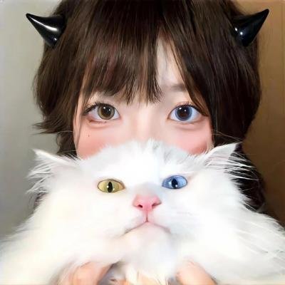 太空熊猫英雄归来